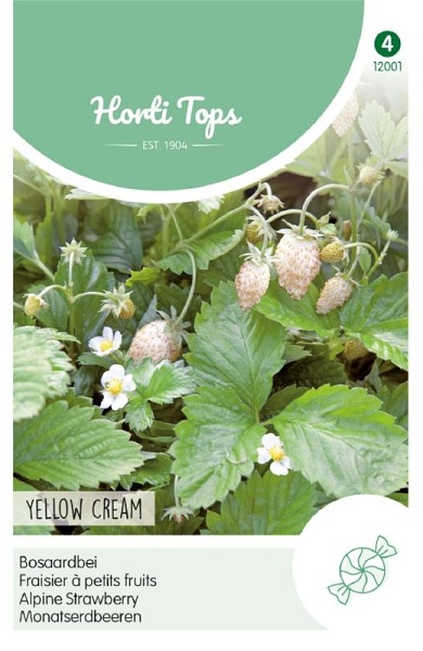 Semená jahôd Lesná Jahoda biela Yellow Cream cca 0,25 g