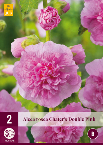 ALCEA ROSEA CHATERS plnokveté PINK - 2 ks