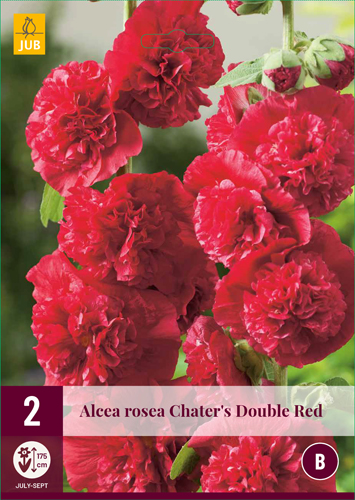 ALCEA ROSEA plnokveté RED - 2 ks