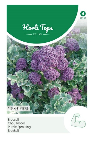 Brokolica stonková Summer Purple cca. 0,25 g