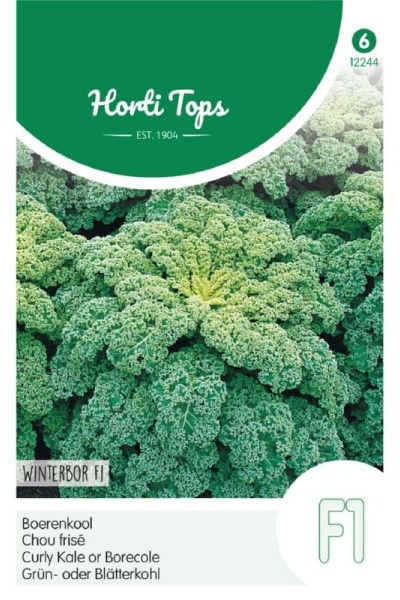 Semená kučeravý kel listový Reflex F1 cca 50 semien