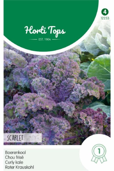 Kel listový kučeravý červený Scarlet cca 2 g