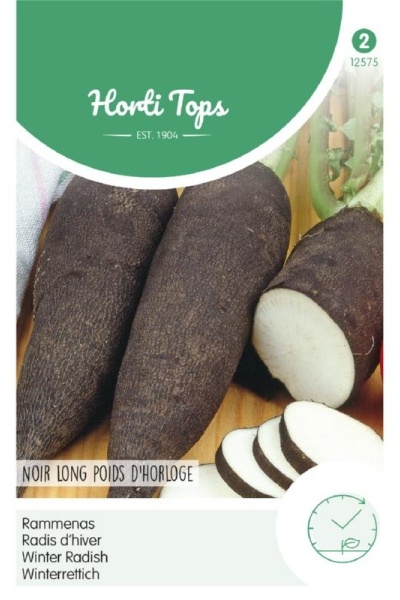 Zimná redkovka, cierna redkovka, Black Spanish Long,