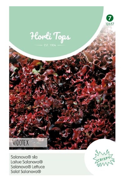 Šalát listový kučeravý červený  Vidotex cca 60 semien