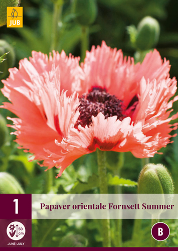 PAPAVER FORNSETT SUMMER počet kusov: 1