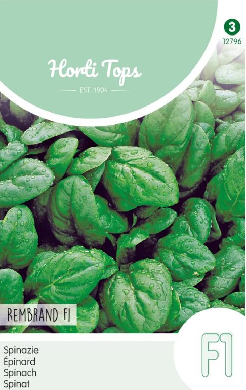 Špenát Rembrandt F1 cca 10 g semien