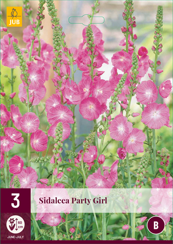 SIDALCEA PARTY GIRL počet kusov: 3