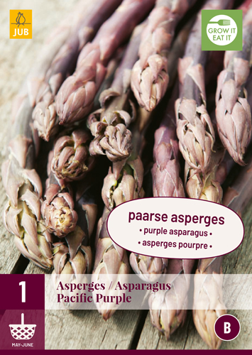 ŠPARGĽA ASPARAGUS PACIFIC PURPLE počet kusov: 1