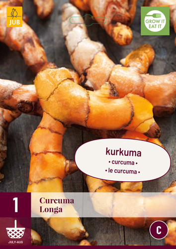 Kurkuma LONGA 1 kus