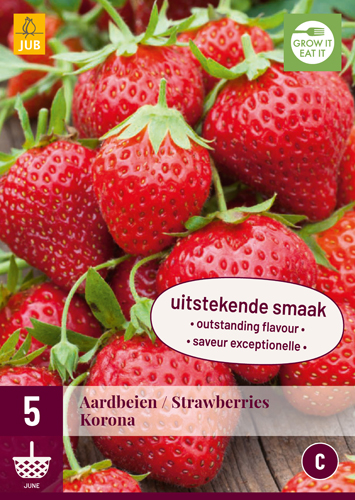 JAHODY FRAGARIA KORONA pocet kusov: 5