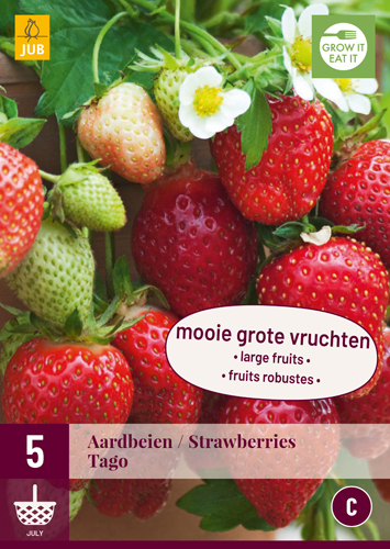JAHODY FRAGARIA TAGO počet kusov: 5