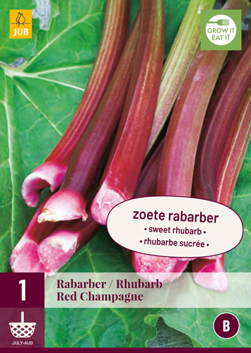 REBARBORA RHEUM/RABARBER RED CHAMPAGNE počet kusov: 1