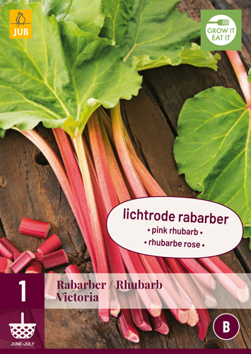 REBARBORA RHEUM/RABARBER VICTORIA pocet kusov: 1