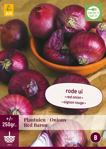 CIBUĽKA SADZAČKA Red Baron 250 g