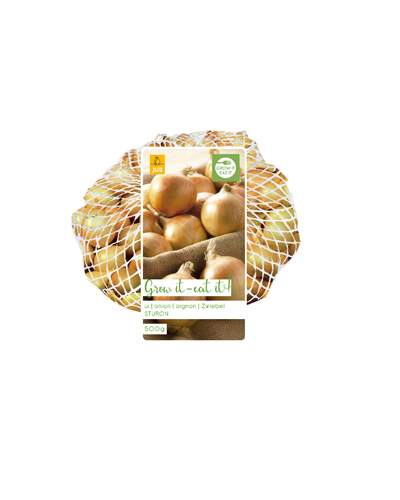 CIBULKA SADZACKA STURON 500 g