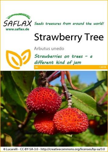 Jahodovec obyčajný