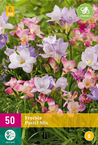 FRÉZIA PASTEL MIX - 50 ks