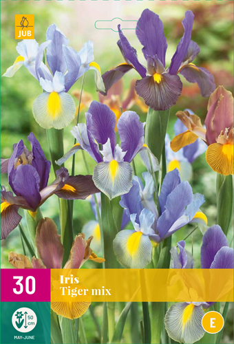 IRIS TIGER MIX počet kusov: 30