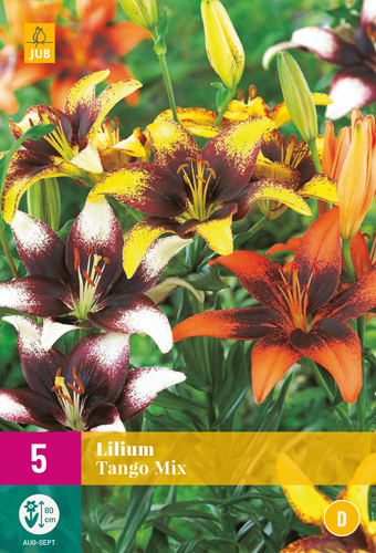 ĽALIE TANGO MIX počet kusov: 5