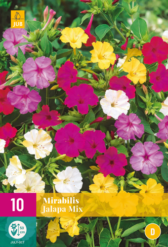 MIRABILIS JALAPA počet kusov: 10