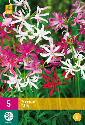 NERINE BREEDERS MIX - 5 ks