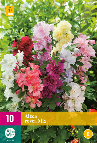 ALCEA ROSEA MIX - 10 ks