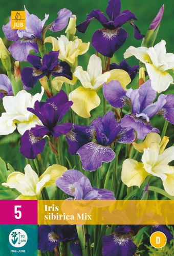 IRIS SIBIRICA MIX počet kusov: 5