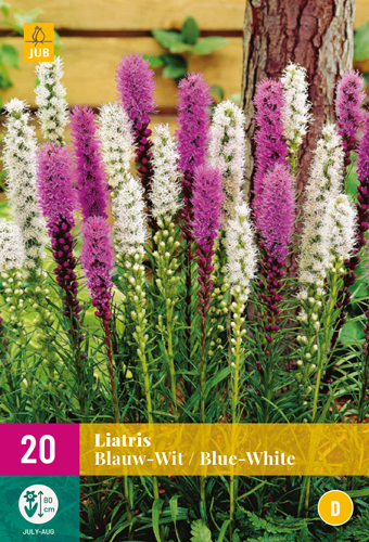 LIATRIS BLUE-WHITE - 20 ks