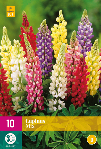 LUPINUS MIX - 10 ks