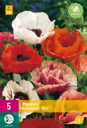 PAPAVER ORIENTALE MIX - 5 ks