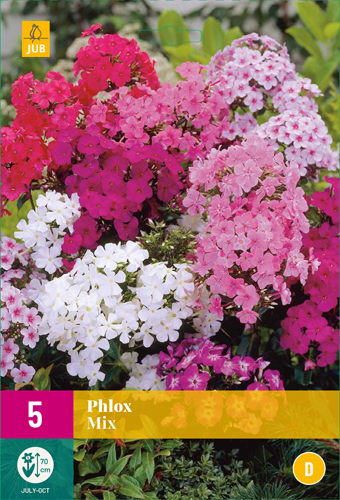 PHLOX MIX - 5 ks