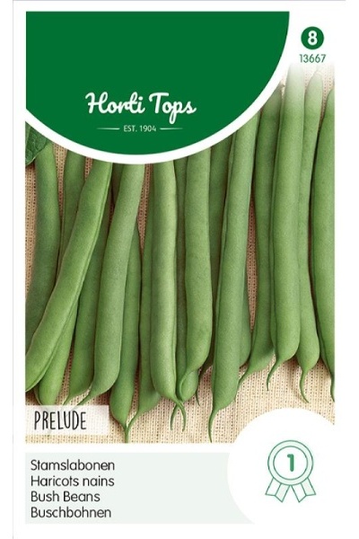 Semená fazula, krícková fazula, struková fazula, zelená fazula,