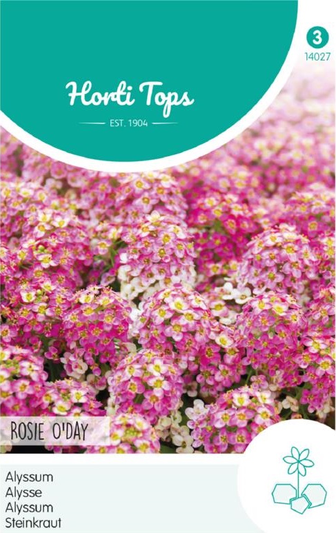 Alyssum, Lobularia maritima Rosie O Day cca 0,5 g semien