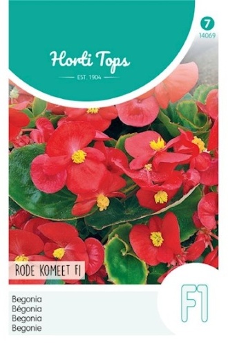 Begonia Semp. F1 Hybrid Red Komeet F1 cca 700 semien