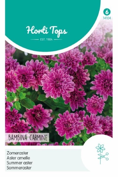 Semená kvetov, semená astra, Callistephus chinensis, Bambina Carmine