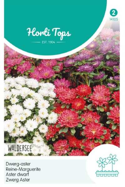 Callistephus chinensis Astra zmes farieb nízke Walderesee cca 0,4 g semien