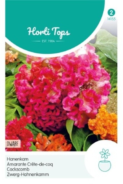 Celosia argentea var. cristata trpazlícia, kohúti hreben cca 0,5 g semien