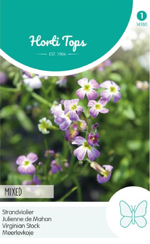 Cheiranthus maritimus, Večernička prímorská cca 1 g semien