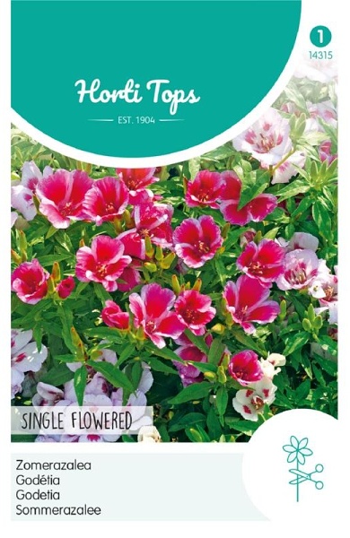 Godetia, letná azalka, Single flowered cca 0,75 g