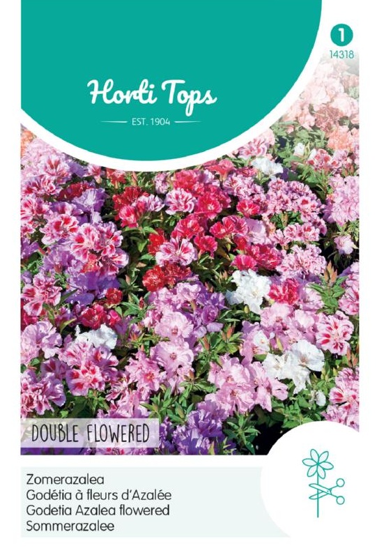 Godetia, clarkia amuna cca 0,75g 