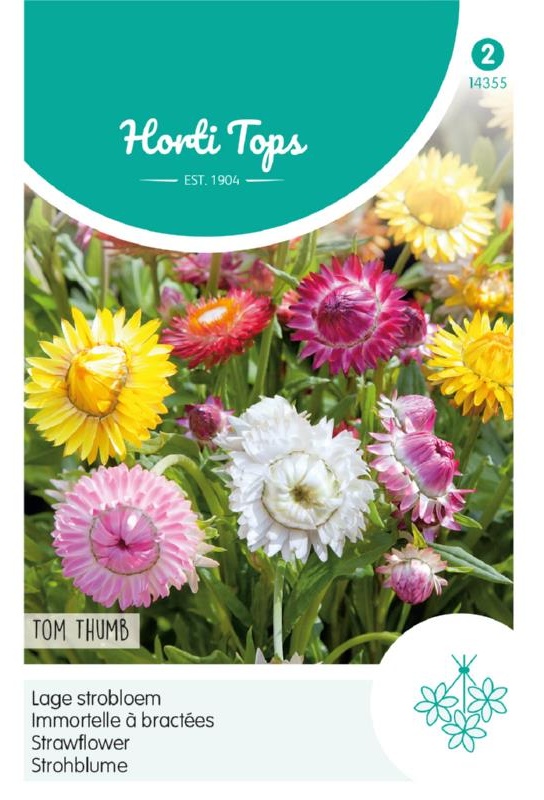 Helichrysum bracteatum Zom Thumb Mix 0,75g