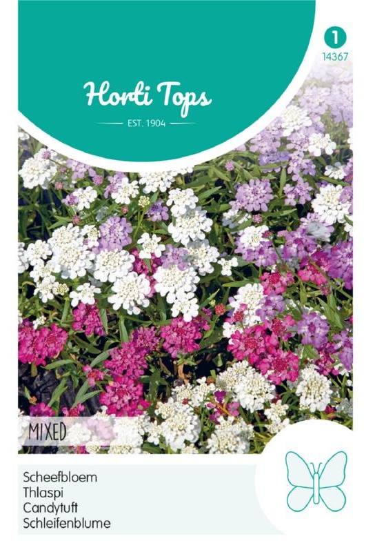 Iberis umbellata cca 0,5g 