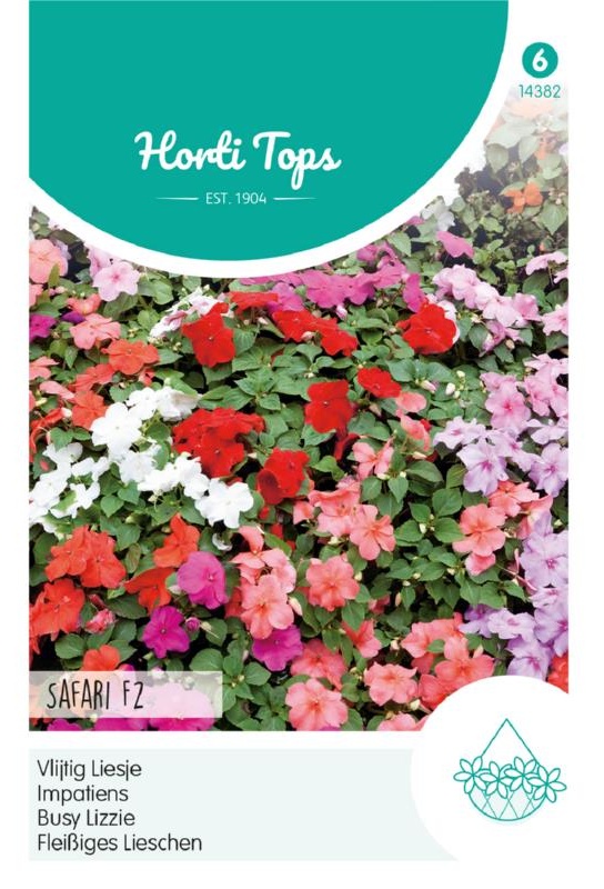 Impatiens walleriana Safari mix cca. 125 semien