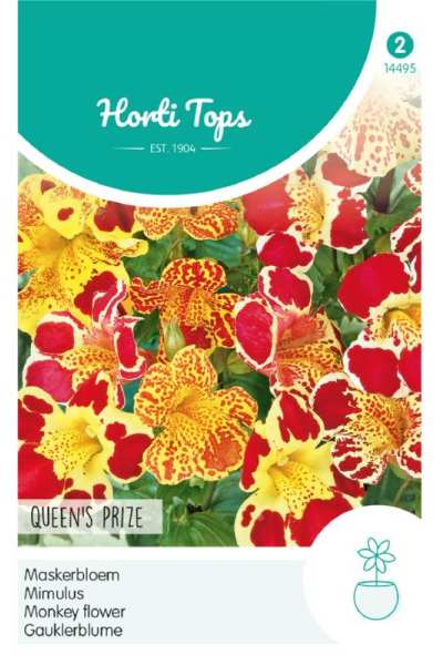 Mimulus Hybrid, Monkey flower, Čarodejka, Queen´s Prize Melange cca 15 semien