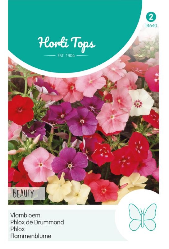 Phlox drummondii cca 0,5 g