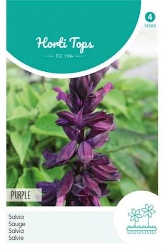 Salvia Splendens Purple cca 0,5 g