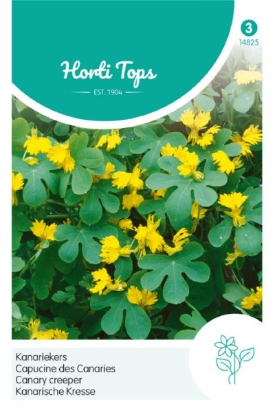 Kapucínka stahovavá, kanárska Tropaeolum peregrinum