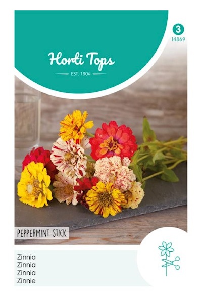 Zinnia elegans, Peppermint Stick cca 1 g.