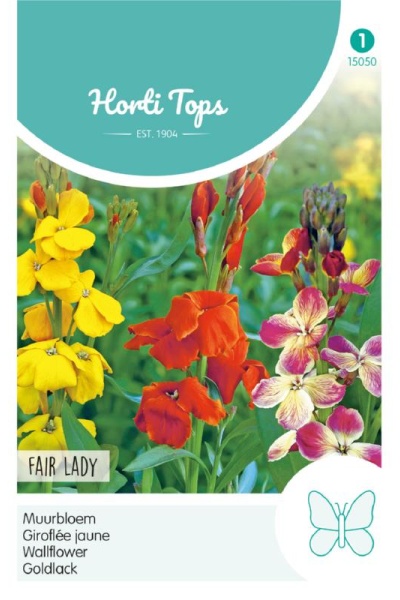 Cheiranthus (erisymum) cheirii Fair lady, Cheirant vonavý, cca 0,75 g