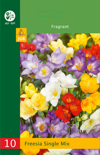 LOW BUDGET FRÉZIA SINGLE MIX - 10 ks